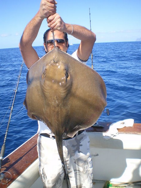 Common Stingray Cavalier & Blue Marlin Sport Fishing Gran Canaria