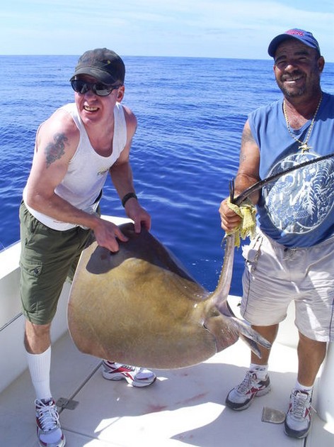 Common Stingray Cavalier & Blue Marlin Sport Fishing Gran Canaria