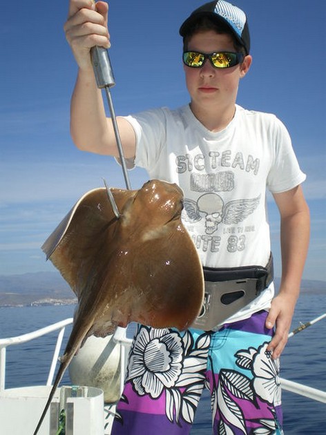 Eagle Ray Cavalier & Blue Marlin Sport Fishing Gran Canaria