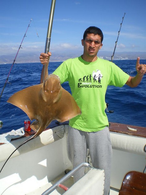 Eagle Ray Cavalier & Blue Marlin Sport Fishing Gran Canaria