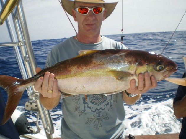 Amberjack Cavalier & Blue Marlin Sport Fishing Gran Canaria