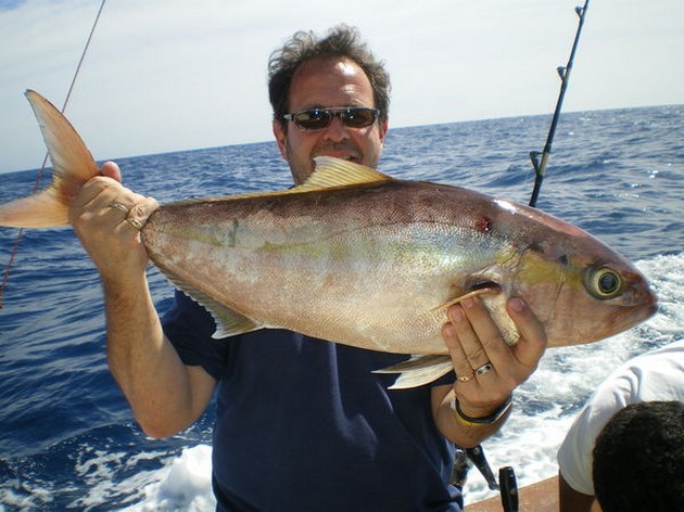 Amberjack Cavalier & Blue Marlin Sport Fishing Gran Canaria