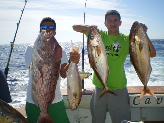 boat Cavalier Cavalier & Blue Marlin Sport Fishing Gran Canaria