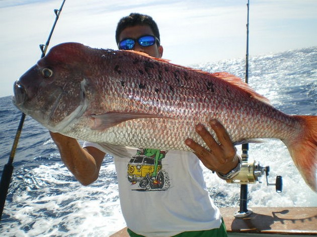 Great Catch Cavalier & Blue Marlin Sport Fishing Gran Canaria