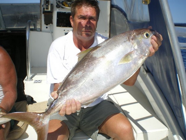 Amberjack Cavalier & Blue Marlin Sport Fishing Gran Canaria
