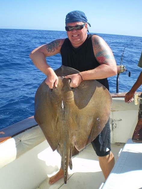 Common Stingray Cavalier & Blue Marlin Sport Fishing Gran Canaria