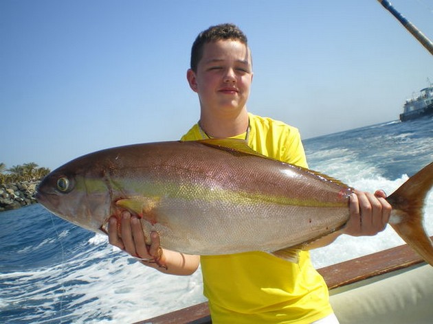 Amberjack Cavalier & Blue Marlin Sport Fishing Gran Canaria