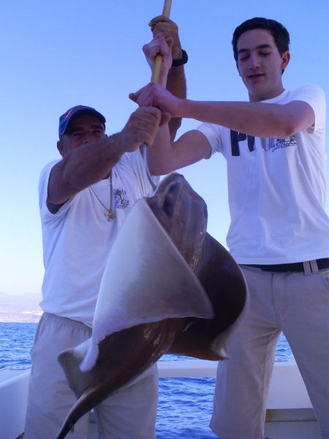 Eagle Ray Cavalier & Blue Marlin Sport Fishing Gran Canaria