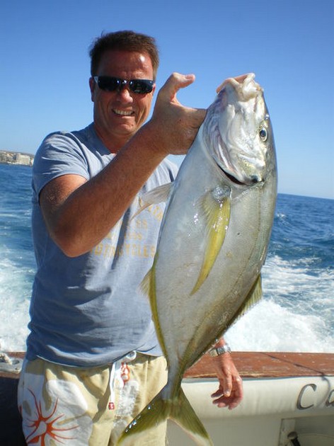 Yellow Tail Cavalier & Blue Marlin Sport Fishing Gran Canaria