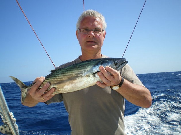 Atlantic Sierra Tuna Cavalier & Blue Marlin Sport Fishing Gran Canaria