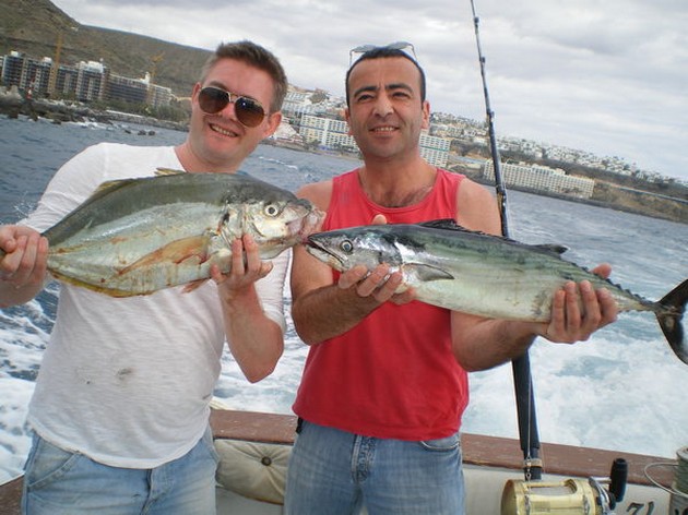 Gul svans Cavalier & Blue Marlin Sport Fishing Gran Canaria