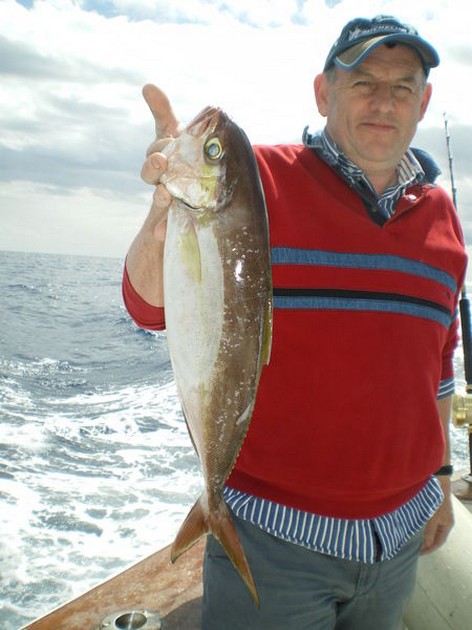 Amberjack Cavalier & Blue Marlin Sport Fishing Gran Canaria