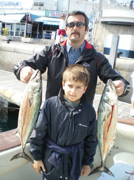 North Atlantic Bonito Cavalier & Blue Marlin Sport Fishing Gran Canaria