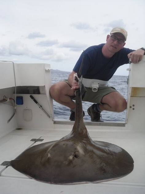 Roughtail Stingray Cavalier & Blue Marlin Sport Fishing Gran Canaria
