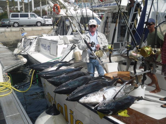 Albacore Tuna Cavalier & Blue Marlin Sport Fishing Gran Canaria