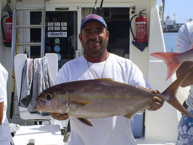 Amberjack Cavalier & Blue Marlin Sport Fishing Gran Canaria