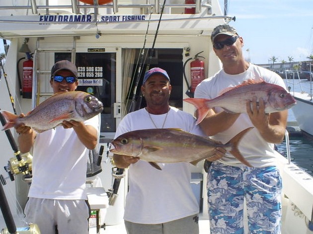 12/03 Nice Catch Cavalier & Blue Marlin Sport Fishing Gran Canaria