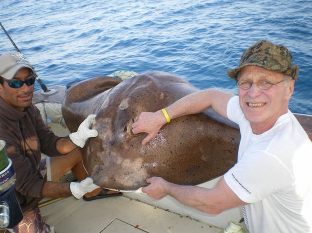 23/03 Stingray Cavalier & Blue Marlin Sport Fishing Gran Canaria