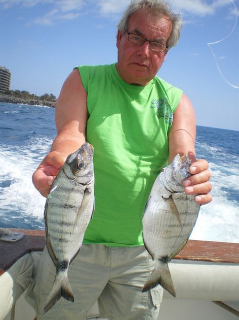 White Seabreams Cavalier & Blue Marlin Sport Fishing Gran Canaria