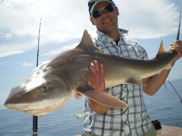 25/03 Tope Cavalier & Blue Marlin Sport Fishing Gran Canaria