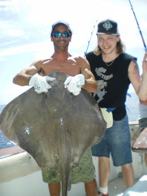 Common Stingray Cavalier & Blue Marlin Sport Fishing Gran Canaria