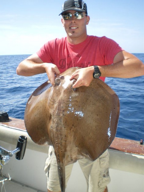 Roughtail Stingray Cavalier & Blue Marlin Sport Fishing Gran Canaria