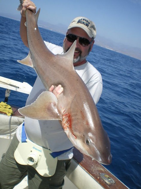 Tope Cavalier & Blue Marlin Sport Fishing Gran Canaria