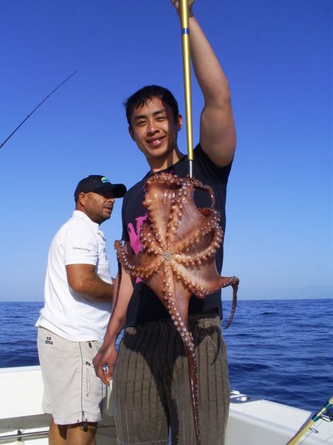 Octopus Cavalier & Blue Marlin Sport Fishing Gran Canaria