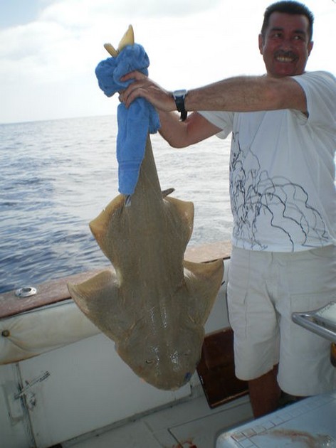 01/04 Angelsshark Cavalier & Blue Marlin Sport Fishing Gran Canaria