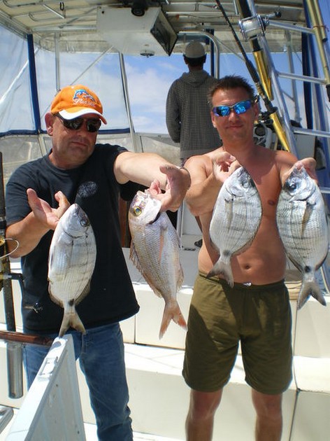 Seabreams Cavalier & Blue Marlin Sport Fishing Gran Canaria