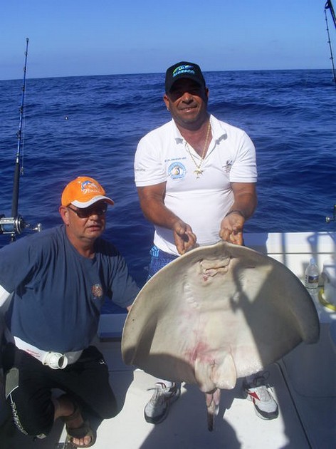 09/04 Common Stingray Cavalier & Blue Marlin Sport Fishing Gran Canaria