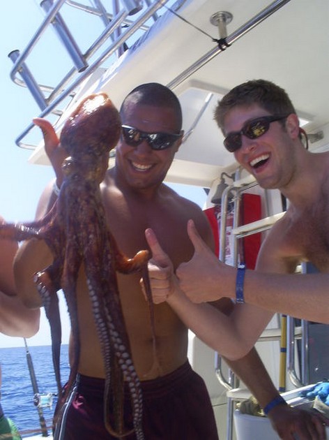 Octupus Cavalier & Blue Marlin Sport Fishing Gran Canaria