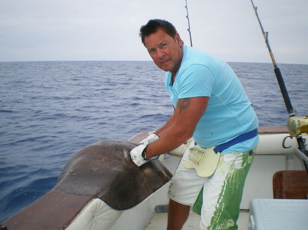 Roughtail Stingray Cavalier & Blue Marlin Sport Fishing Gran Canaria