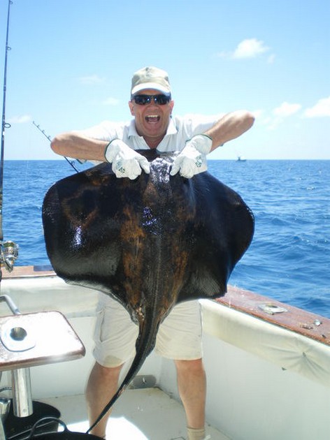 Common Stingray Cavalier & Blue Marlin Sport Fishing Gran Canaria