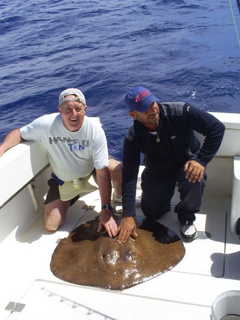 Roughtail Stingray Cavalier & Blue Marlin Sport Fishing Gran Canaria