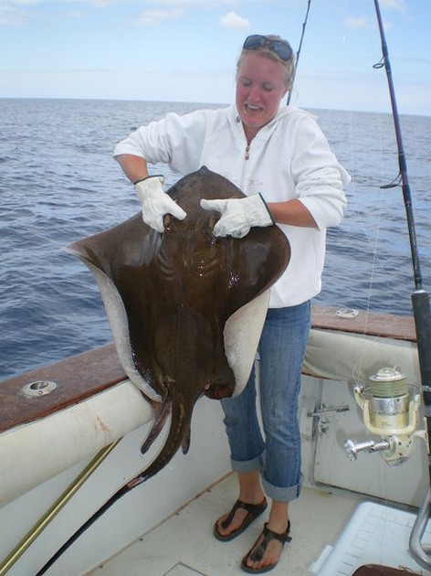 Common Stingray Cavalier & Blue Marlin Sport Fishing Gran Canaria