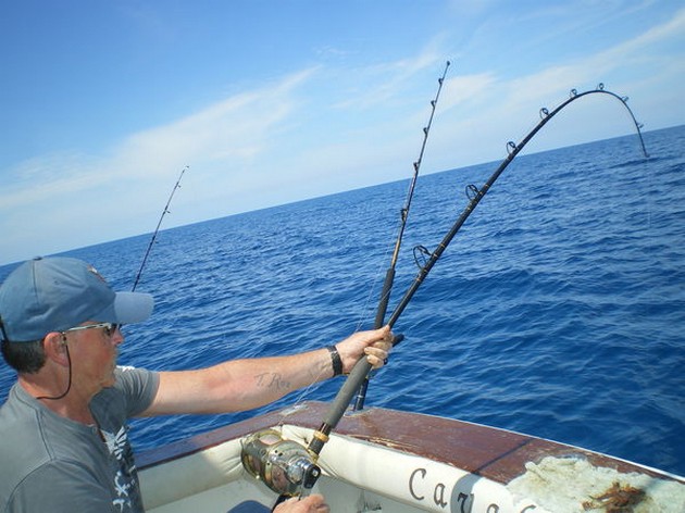 Wahoo 2 Cavalier & Blue Marlin Sport Fishing Gran Canaria
