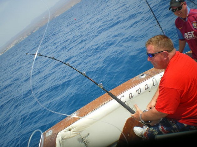 Engel haaien Cavalier & Blue Marlin Sport Fishing Gran Canaria