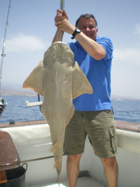Angelshark Cavalier & Blue Marlin Sport Fishing Gran Canaria