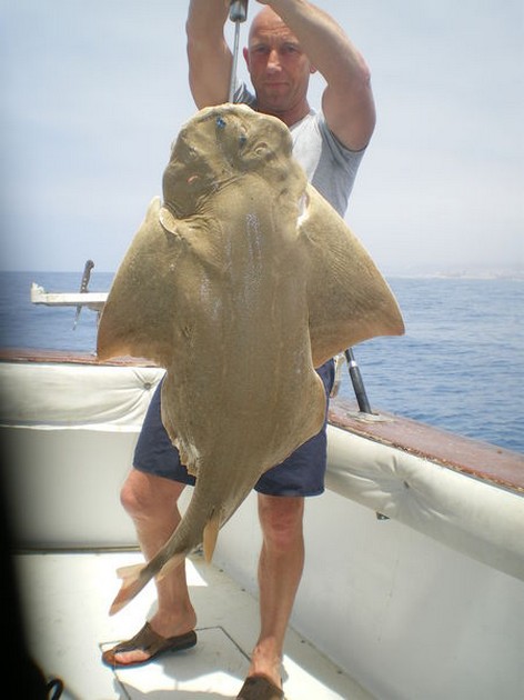 12/05 New Boat Record Cavalier & Blue Marlin Sport Fishing Gran Canaria