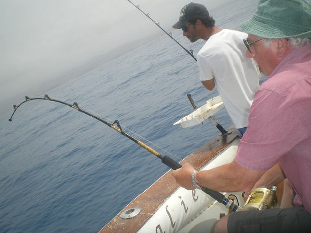 Hooked Up Cavalier & Blue Marlin Sport Fishing Gran Canaria