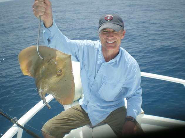 Common Stingray Cavalier & Blue Marlin Sport Fishing Gran Canaria