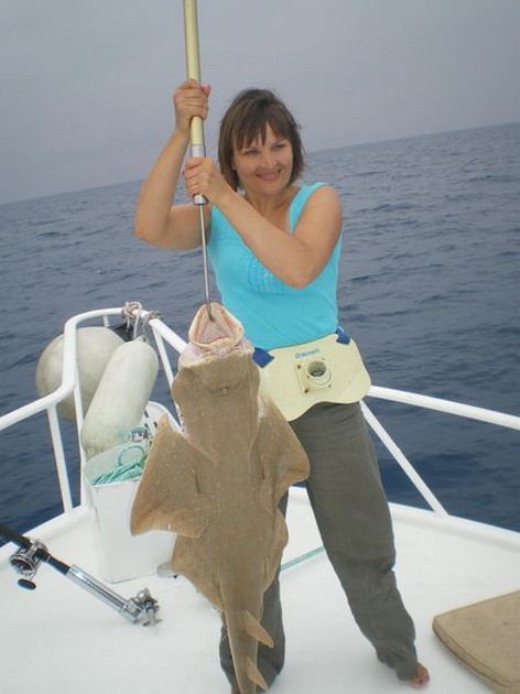 Angelshark Cavalier & Blue Marlin Sport Fishing Gran Canaria