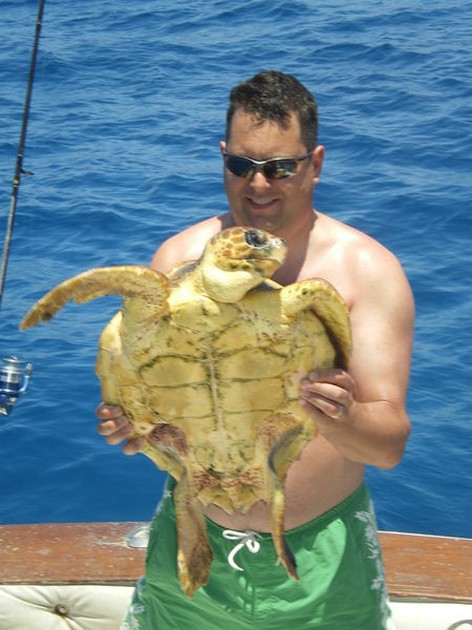 Turtle Cavalier & Blue Marlin Sport Fishing Gran Canaria