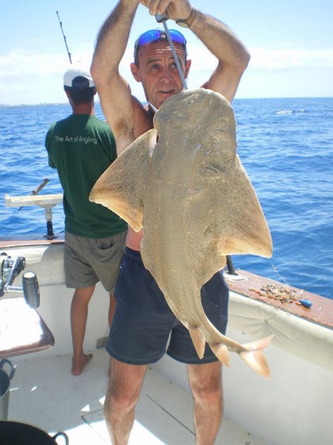 20/05 Angel shark Cavalier & Blue Marlin Sport Fishing Gran Canaria