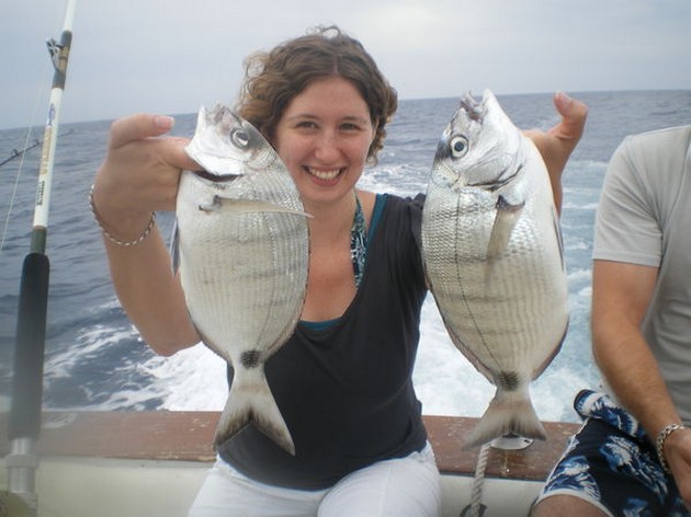 25/05 White Seabreams Cavalier & Blue Marlin Sport Fishing Gran Canaria
