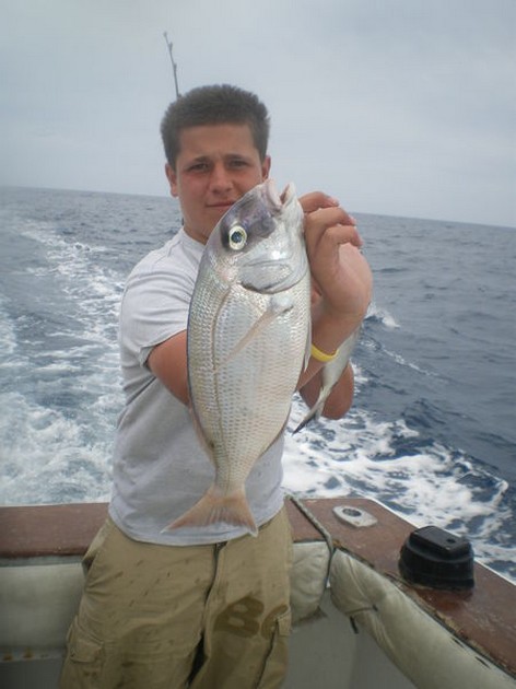 White Seabream Cavalier & Blue Marlin Sport Fishing Gran Canaria