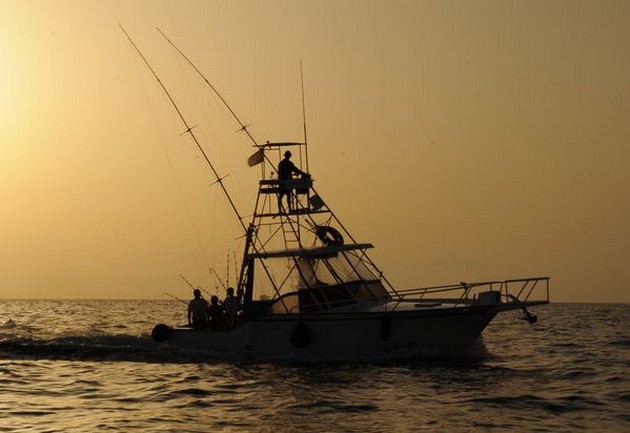  - Cavalier & Blue Marlin Sport Fishing Gran Canaria