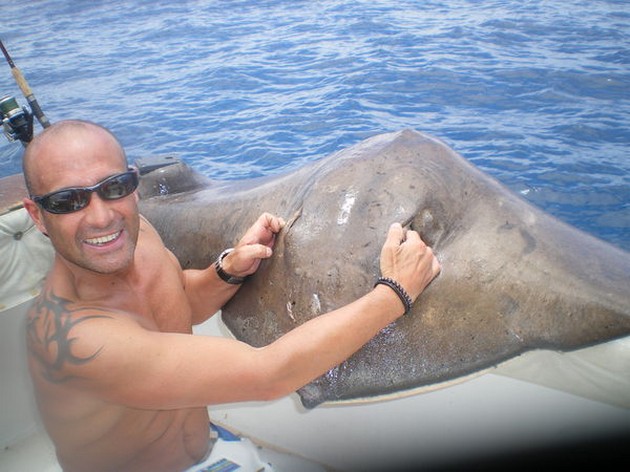 Common Stingray Cavalier & Blue Marlin Sport Fishing Gran Canaria