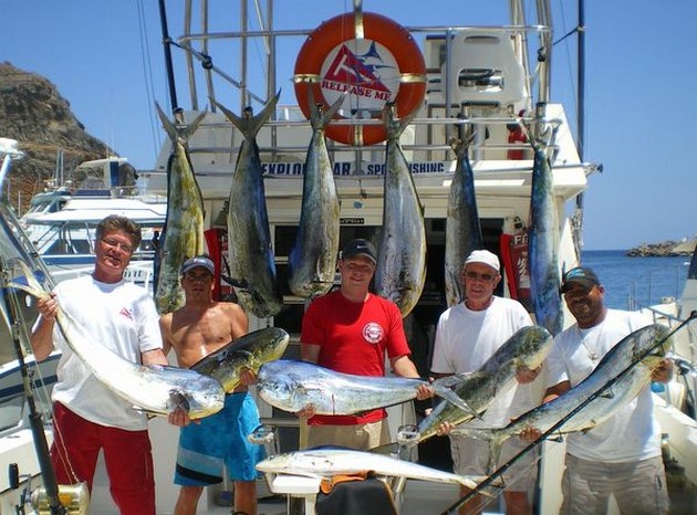 nice catch Cavalier & Blue Marlin Sport Fishing Gran Canaria